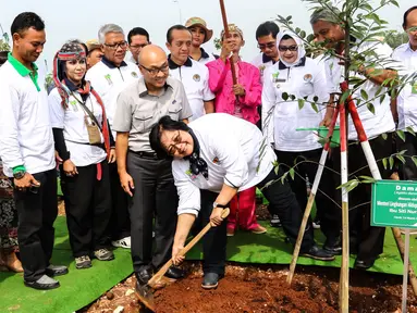 Menteri LHK, Siti Nurbaya bersama jajarannya menanam Pohon Damar pada kegiatan penanaman 300 pohon di Intercharge Subang KM. 109 Tol Cipali, Sabtu (19/3). 12.979 batang pohon trembesi telah ditanam di sepanjang 116,75 km. (Liputan6.com/Fery Pradolo)