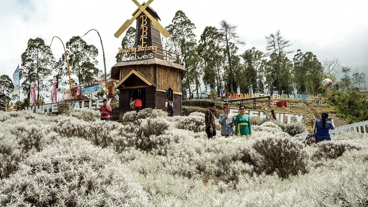 Festival Pesona Edelweis Sukses Pikat Wisatawan Mancanegara Datang ke Karangasem