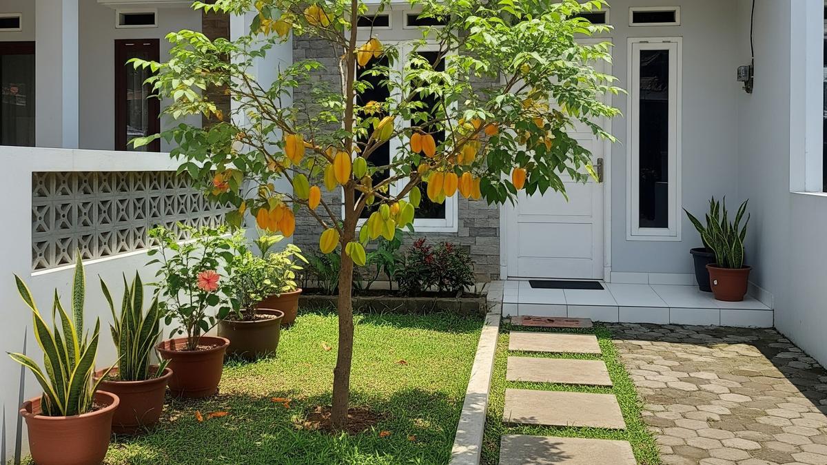 7 Jenis Pohon Buah Mini yang Bisa Tumbuh Subur di Pinggir Jalan Tanpa Perawatan Rumit