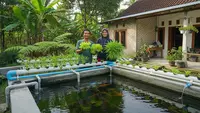 8 Cara Menanam Hidroponik di Atas Kolam Ikan, Bisa Jadi Dua Budidaya Sekaligus