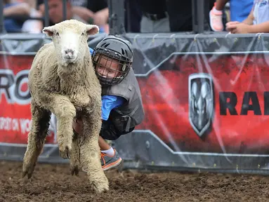 Seorang anak mengenakan helm dan rompi pelindung menungangi domba selama kompetisi Wool Riders Only Mutton Bustin 'di Iowa State Fair di Des Moines, Iowa, AS (12/9/2019). Kompetisi ini pertama kali diadakan pada tahun 1854. (Chip Somodevilla/Getty Images/AFP)