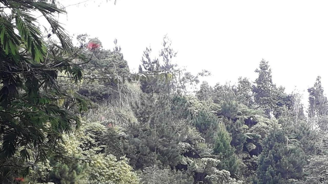 <b>9. Plunyon Kalikuning</b>