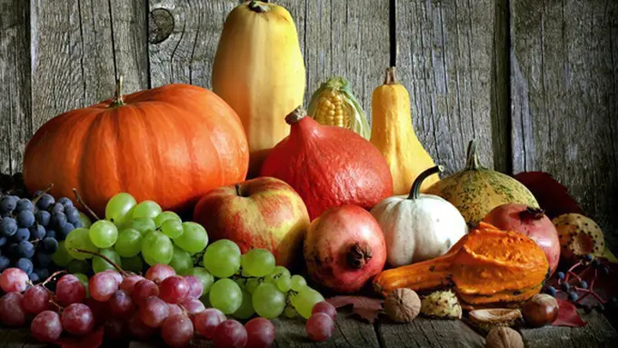 Copyright by shutterstock.com