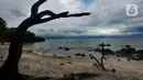 Suasana Pantai Bama, Taman Nasional Baluran, Situbondo, Jawa Timur, Sabtu (29/4/2023). (merdeka.com/Arie Basuki)