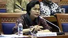 Anggito Abimanyu, Darmin Nasution, serta pengamat ekonomi Iwan Jaya Aziz hingga Menteri Perencanaan Pembangunan Nasional/Kepala Bappenas Armida S. Alisjahbana disebut-sebut sebagai calon kuat pengganti Menkeu Sri Mulyani. 