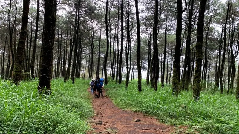 Gunung Puthuk Siwur Mojokerto Wisata Trekking Murah Tiga Jam Sampai Puncak