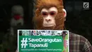 Aktivis WALHI memakai topeng orangutan saat menggelar aksi di depan Gedung Bank of China, Jakarta, Jumat (1/3). Aksi ini digelar jelang putusan PTUN Medan terkait gugatan WALHI terhadap izin lingkungan PLTA Batang Toru. (Liputan6.com/Fery Pradolo)