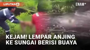 Aksi kejam terhadap binatang kembali terjadi hingga viral. Dua pekerja terekam mengangkat dan melempar anjing ke dalam sungai. Sesaat setelahnya, anjing diterkam buaya dan tak terlihat kembali di permukaan.