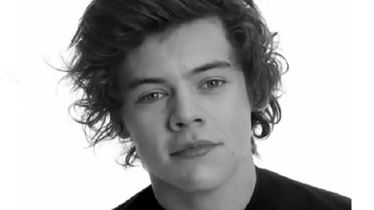 Harry Styles/ mirror.co.uk