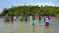 Ratusan terumbu karang ditanam dengan metode cangkok di Pantai Dewi Mandapa dan Pantai Cukucambai, Lampung. (Liputan6.com/Istimewa)