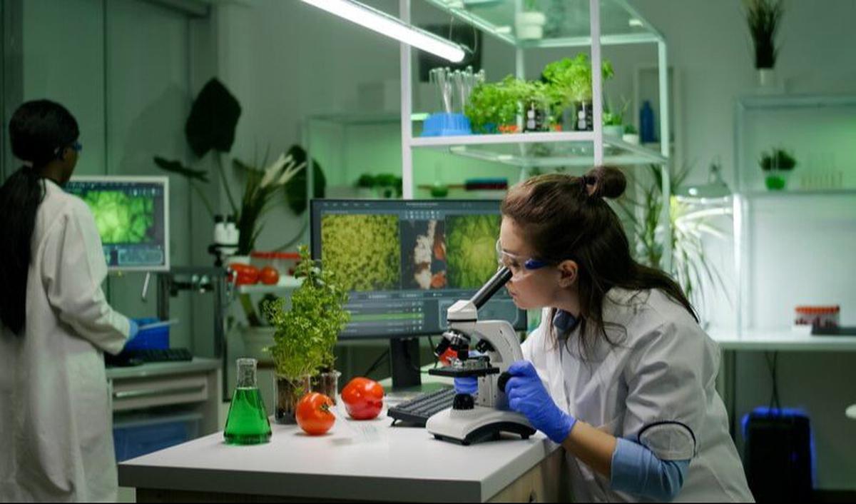 <b>Ciri-Ciri Bioteknologi Konvensional</b><br>