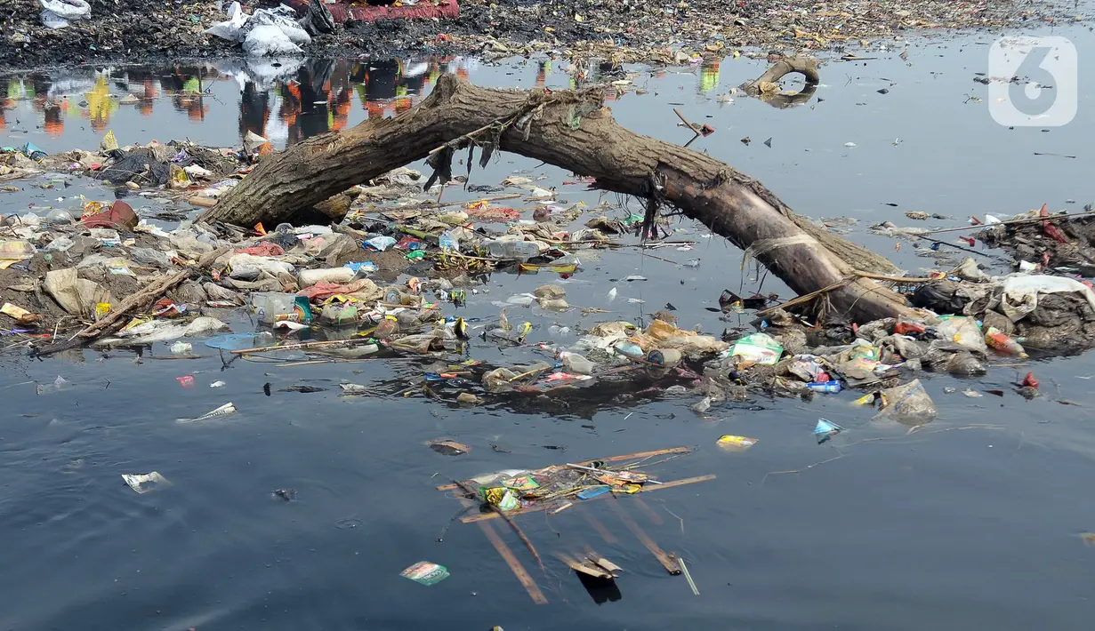 Sebanyak 500 personel dari tim gabungan lingkungan Hidup DKI Jakarta, Sudin Kepulauan Seribu, UPK Badan Air membersihkan tumpukan sampah di daratan laut. (merdeka.com/Imam Buhori)