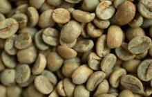 Tak Banyak Disadari, Ini Manfaat Kesehatan dari Konsumsi Kopi Hijau