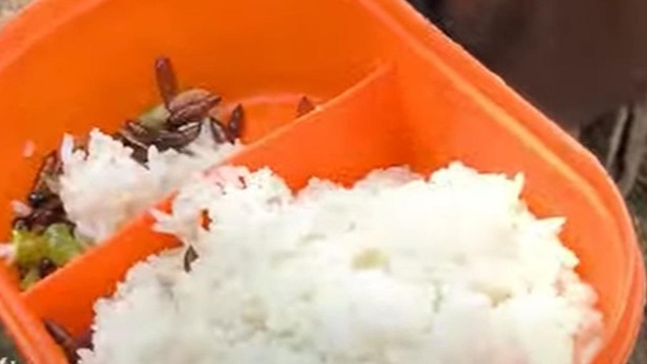 Berburu ungker di pedalaman Blora
