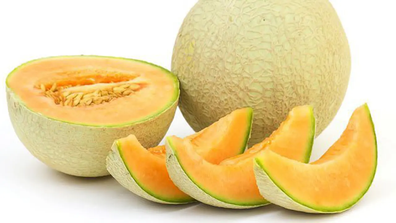 Rock Melon/Copyright Shutterstock