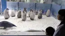 Pengunjung mengamati bayi penguin kaisar di taman hiburan Chimelong Ocean Kingdom yang berada di Zhuhai, Provinsi Guangdong, China pada 8 November 2020. Sepuluh bayi penguin kaisar yang lahir antara Juni hingga Agustus tahun ini tampil perdana di depan publik pada Minggu (8/11). (Xinhua/Huang Guobao