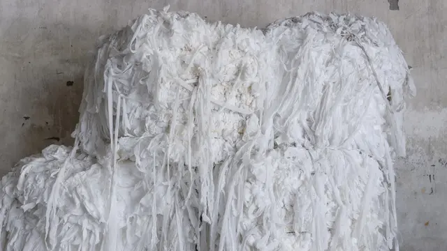 Sejauh Mata Memandang