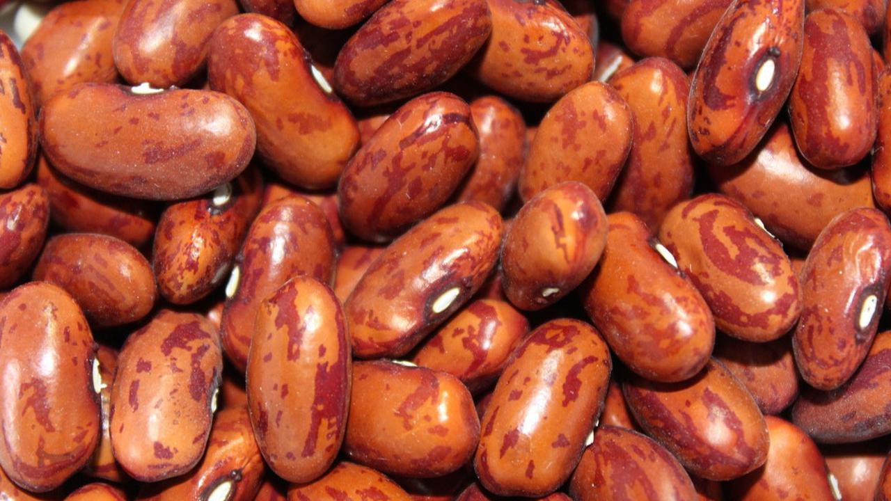 8 Manfaat Kacang Merah untuk Bayi, Menyehatkan Saluran Pencernaan