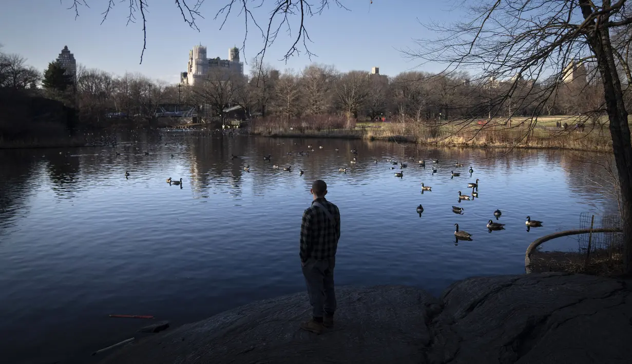 Seorang pengunjung berdiri di samping danau penuh angsa di dekat Great Lawn di tengah Central Park, di wilayah Manhattan, New York, Senin (30/1/2023). Terakhir kali butuh waktu lama sebelum salju bertahan di tanah pada musim dingin adalah tahun 1973, ketika warga New York harus menunggu hingga 29 Januari. (AP Photo/John Minchillo)
