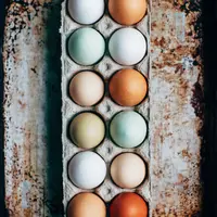 ilustrasi telur/copyright unsplash/@baconandbaileys