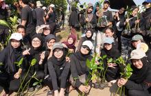 Fakta Unik: Vokasi UI Edukasi Lingkungan Pesisir Muara Bungin, Pasang Lampu hingga Tanam Bakau