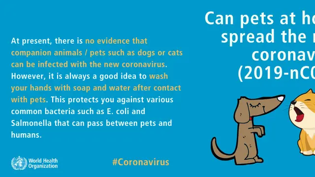 Mitos-mitos soal Virus Corona (2019-nCoV) yang dibantah WHO (who.int)
