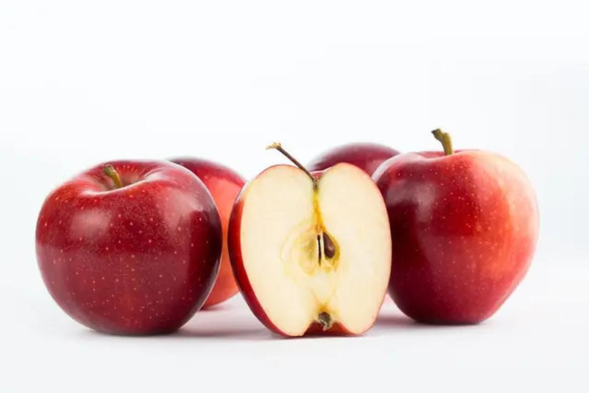Jenis Makanan yang Dapat Menyehatkan Ginjal, Ada Buah hingga Protein Hewani