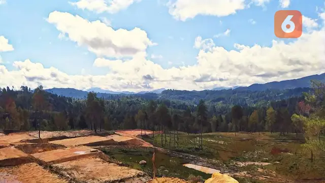 Kawasan Hutan Produktif Terbatas (HPT) Mapongka, Kecamatan Mangkendek, Kabupaten Tana Toraja, Sulawesi Selatan (Eka Hakim/Liputan6.com)