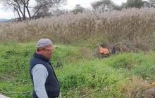 Penemuan Sisik Ular Raksasa Sampai Puluhan Meter yang Bikin Heboh
