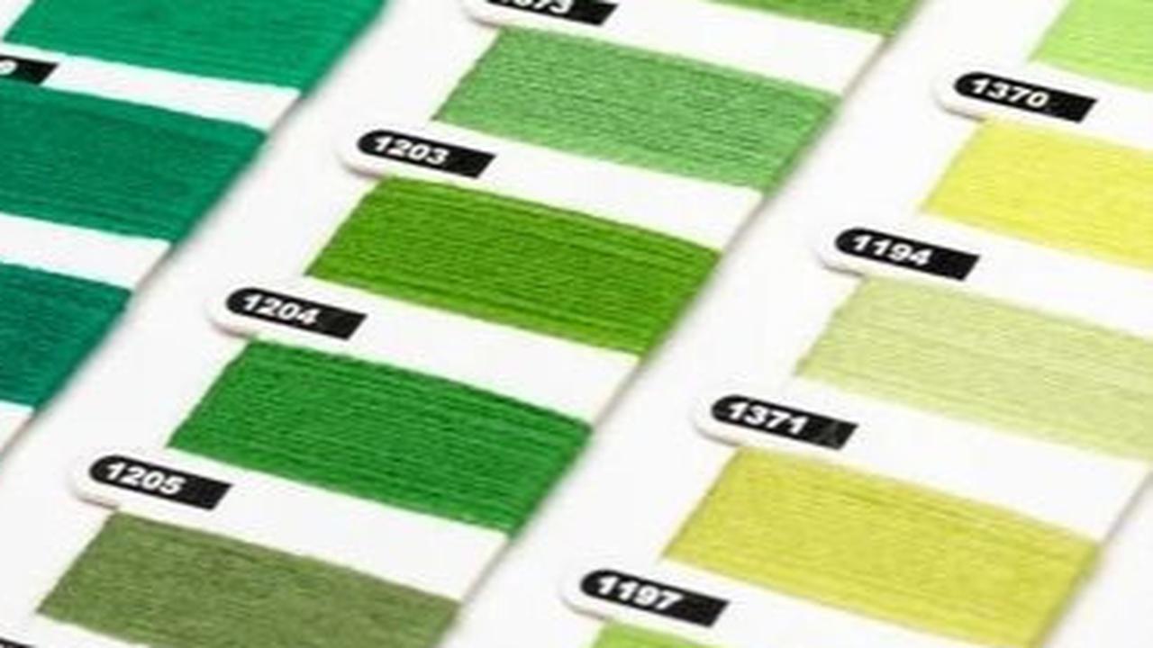8 Warna Cat Dinding yang Membuat Kamar Terasa Lebih Dingin dan Sejuk