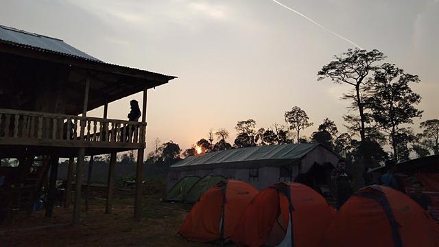 Camping di Hutan Harapan