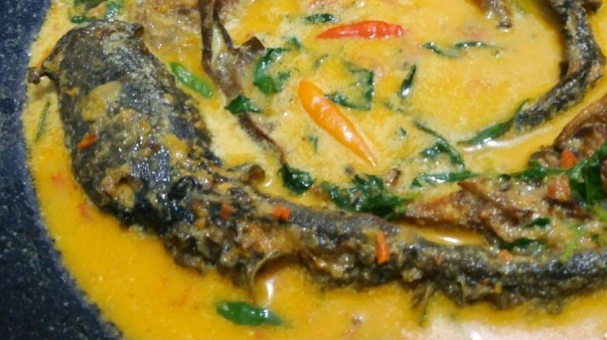 Lele Kuah Santan