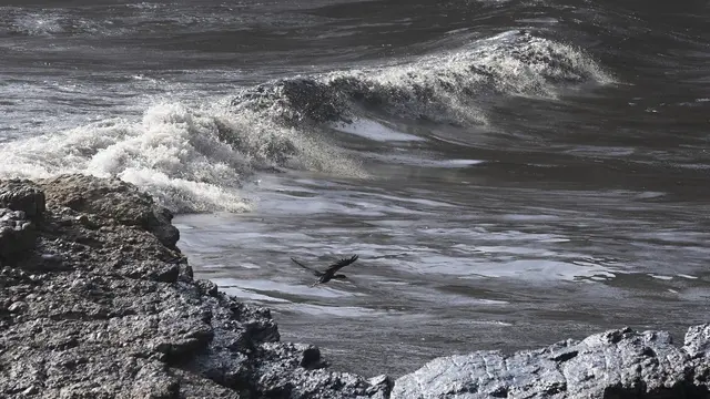 Tsunami Tonga Sebabkan Tumpahan Minyak di Peru