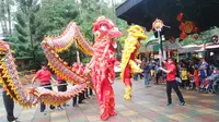 Barongsai meriahkan perayaan Imlek di Taman Safari Cisarua Bogor. (Liputan6.com/Bima Firmansyah)