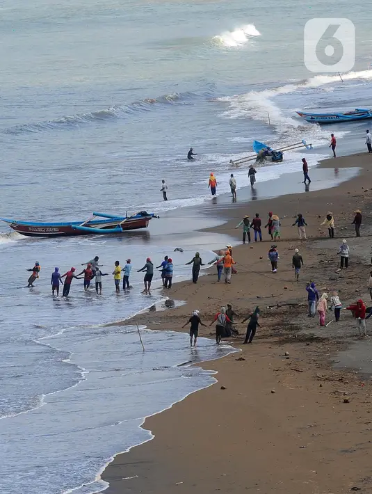 Nelayan menarik jaring sepanjang 4 km untuk menangkap ikan semar di Pantai Konang, Trenggalek, Jawa Timur, Jumat (1/9/2023). (merdeka.com/Arie Basuki)