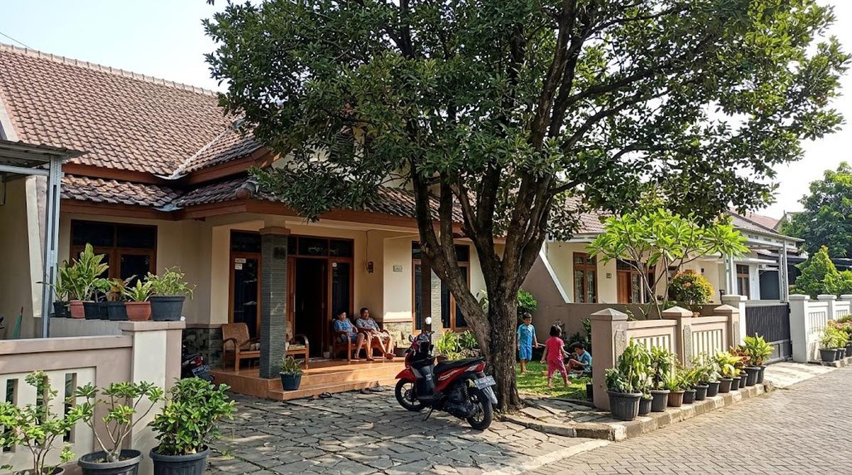 Pohon Sawo Kecik