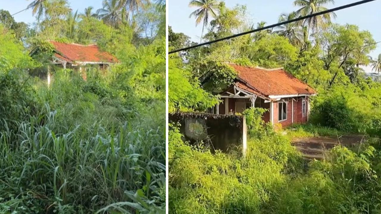 Pria Ini Temukan Rumah Terbengkalai di Tepi Jalan, Penampakannya Bikin Ngeri
