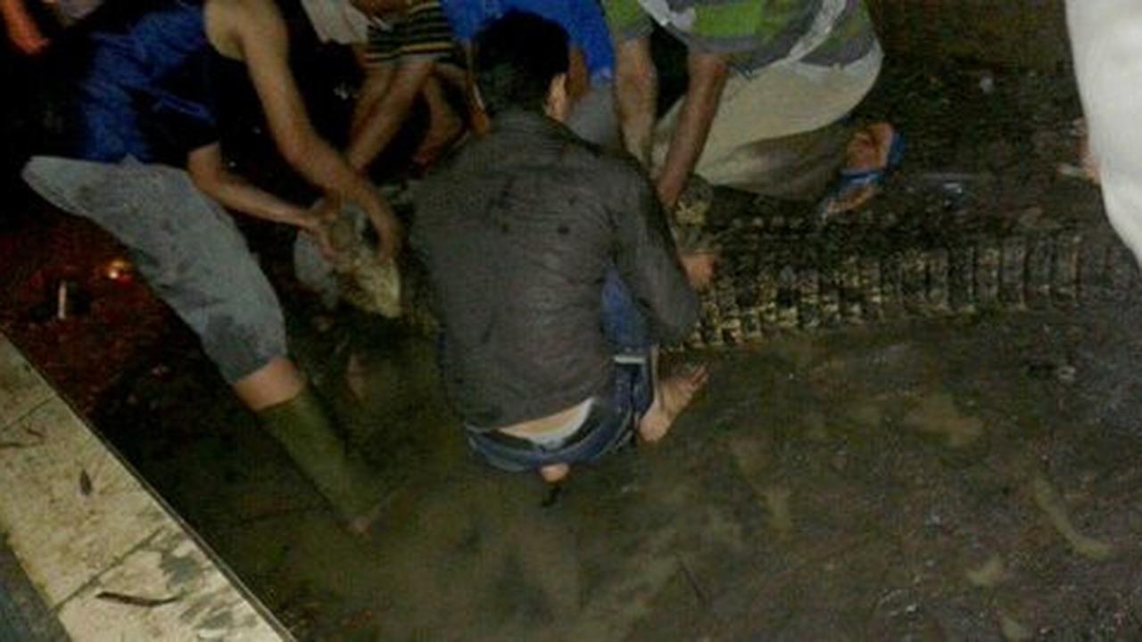 Banjir rendam kebun binatang Pematang Siantar, 18 buaya lepas