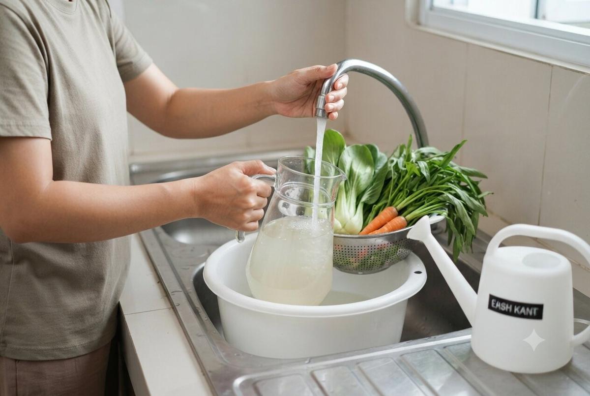 Cara Memanfaatkan Air Cucian Sayur untuk Kebun