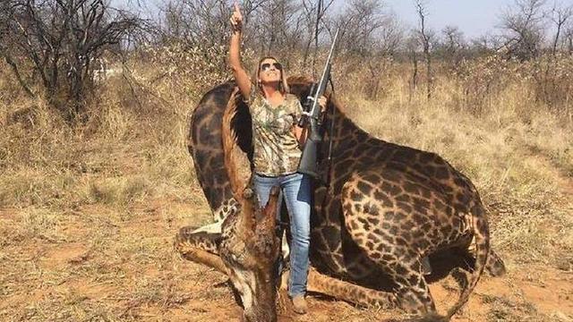 450+ Gambar Ilustrasi Hewan Jerapah Gratis Terbaru