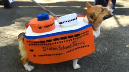 Seekor anjing mengenakan kostum saat mengikuti Parade Halloween Anjing Tahunan di Tompkins, New York (21/10). Acara ini diadakan setiap tahunnya di Tompkins Square. (AFP Photo/Timothy A. Clary)