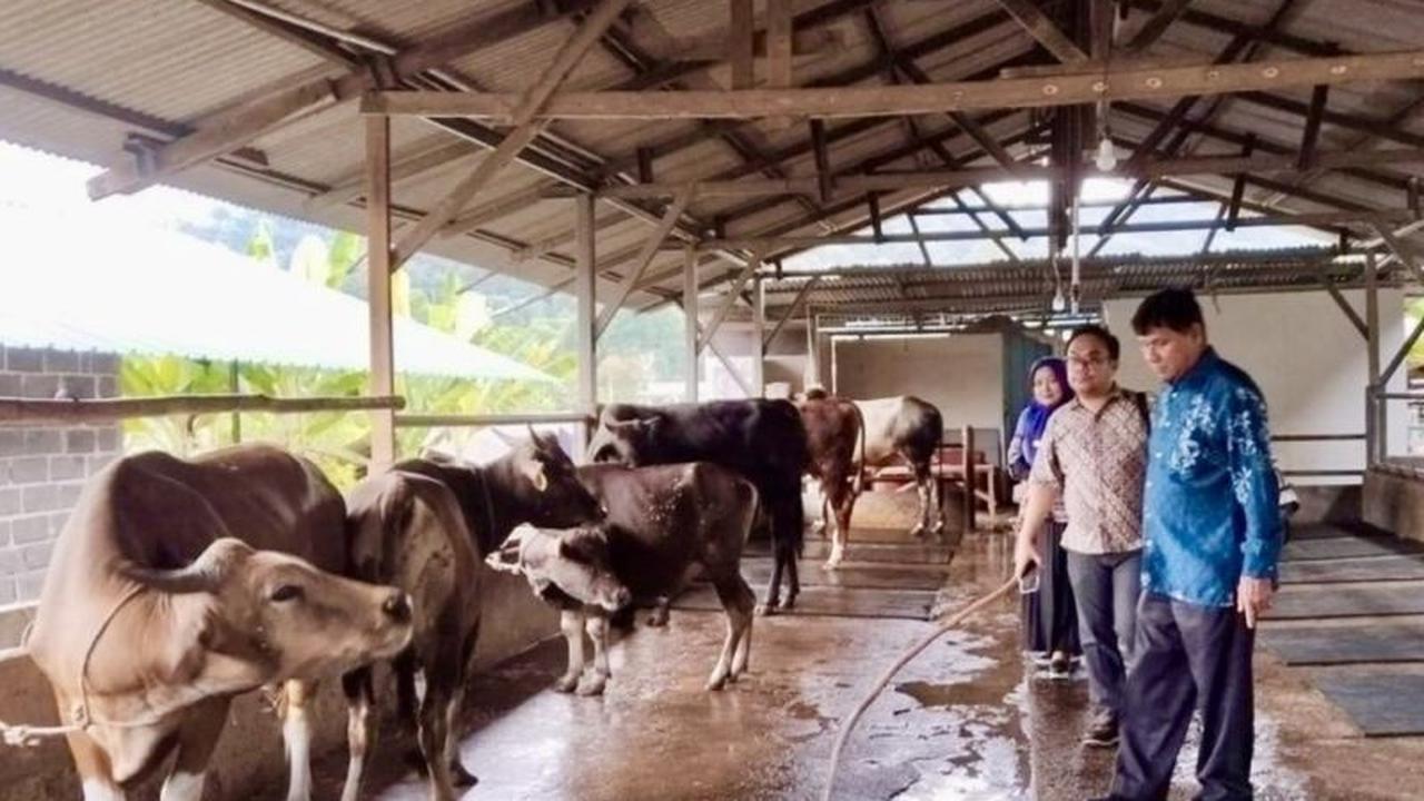 Waspada! DKPP Batam Perketat Pengawasan Obat Hewan, Temukan Obat Manusia untuk Ternak