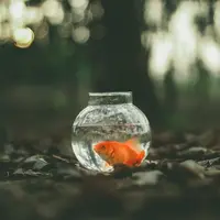 Ilustrasi/Copyright unsplash/Ahmed Zayan