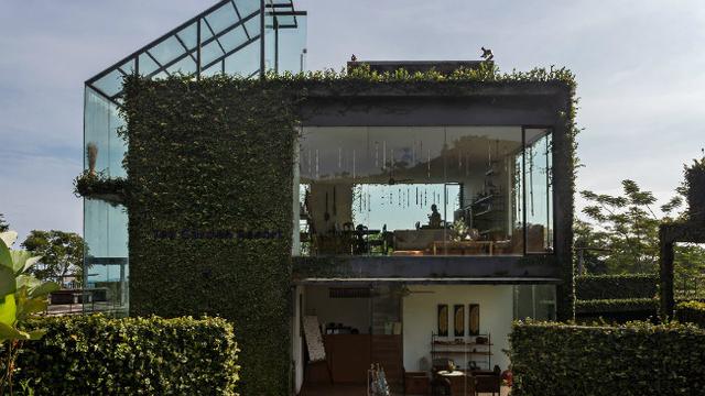 Sambut Pagi Bersama Hamparan Kebun Teh