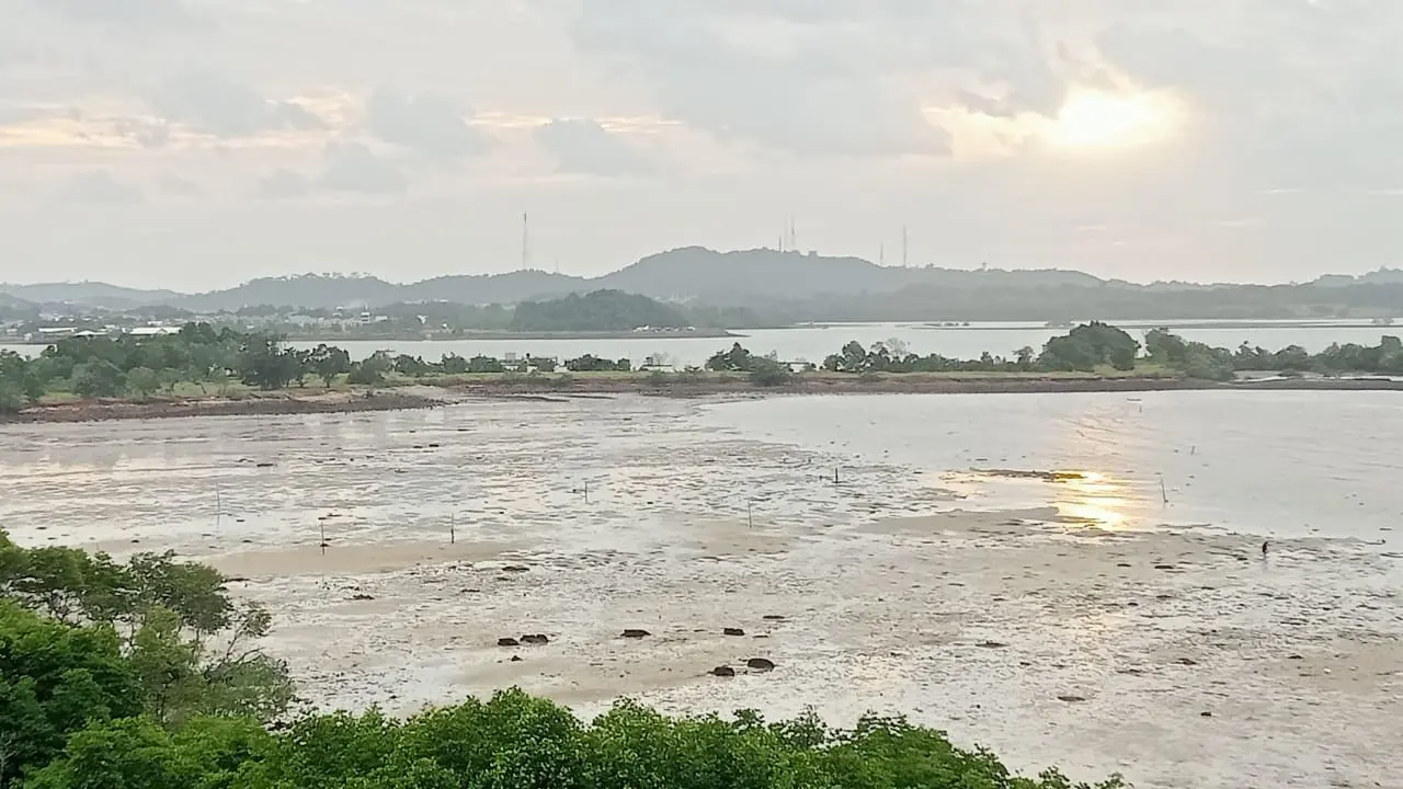 Pantai lingkar utara Batam. (Liputan6.com/Ajang Nurdin)