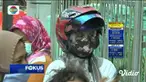 Fokus Pagi mengangkat beberapa topik berita sebagai berikut, Jenazah Covid-19 Direbut Paksa, Warga Tangkap Buaya, Mayat Dalam Karung, Olimpiade 2020 Digelar di Tengah Pandemi.