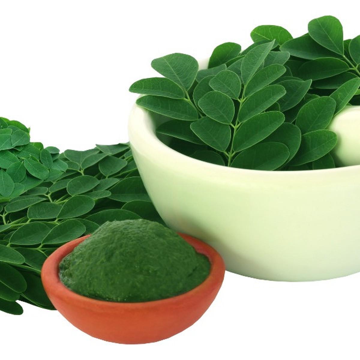 3 Metode Praktis Merebus Daun Kelor untuk Menurunkan Kolesterol dan Asam Urat dengan Mudah!