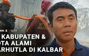 14 Kabupaten dan Kota Alami Karhutla di Kalbar