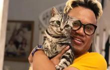 VIDEO: Uya Kuya Kembali Bahagia, Sejumlah Kucing Sudah Pulang Usai Rumahnya Dijarah