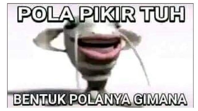 6 Meme Pertanyaan Lucu dari Kata Familiar Ini Bikin Bertanya-Tanya